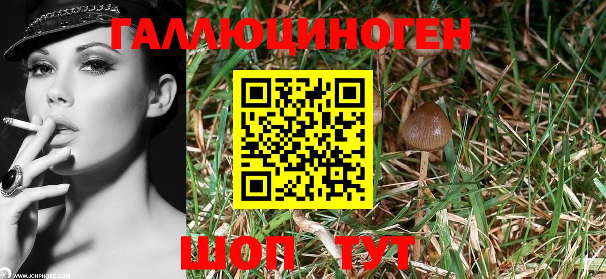 Псилоцибиновые грибы Magic Shrooms  Вход с VPN  Гай 